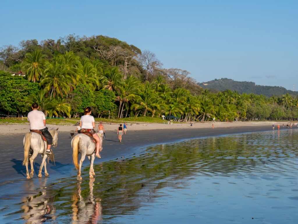 Horse Riding in Beach