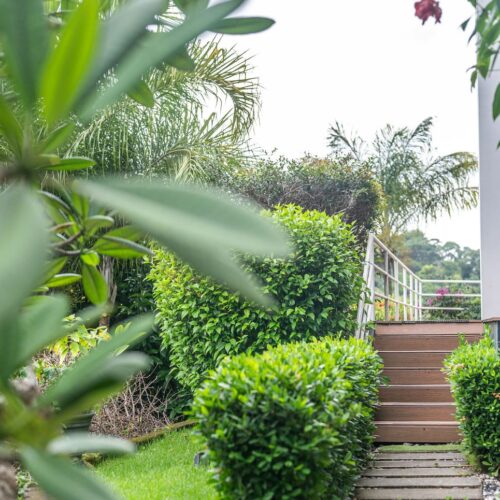 Reserve Cistarica Villa 9